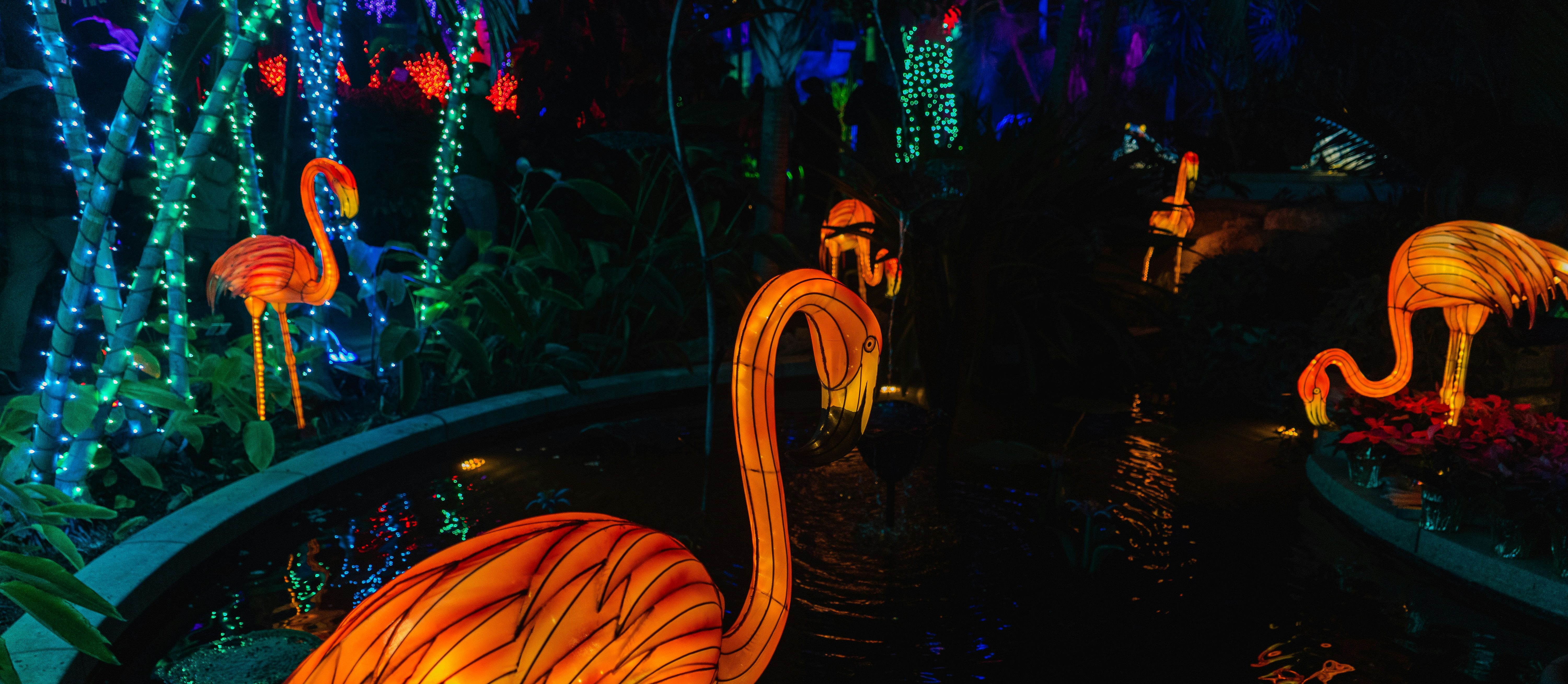 De 5 mooiste lichtfestivals & lichtroutes in België