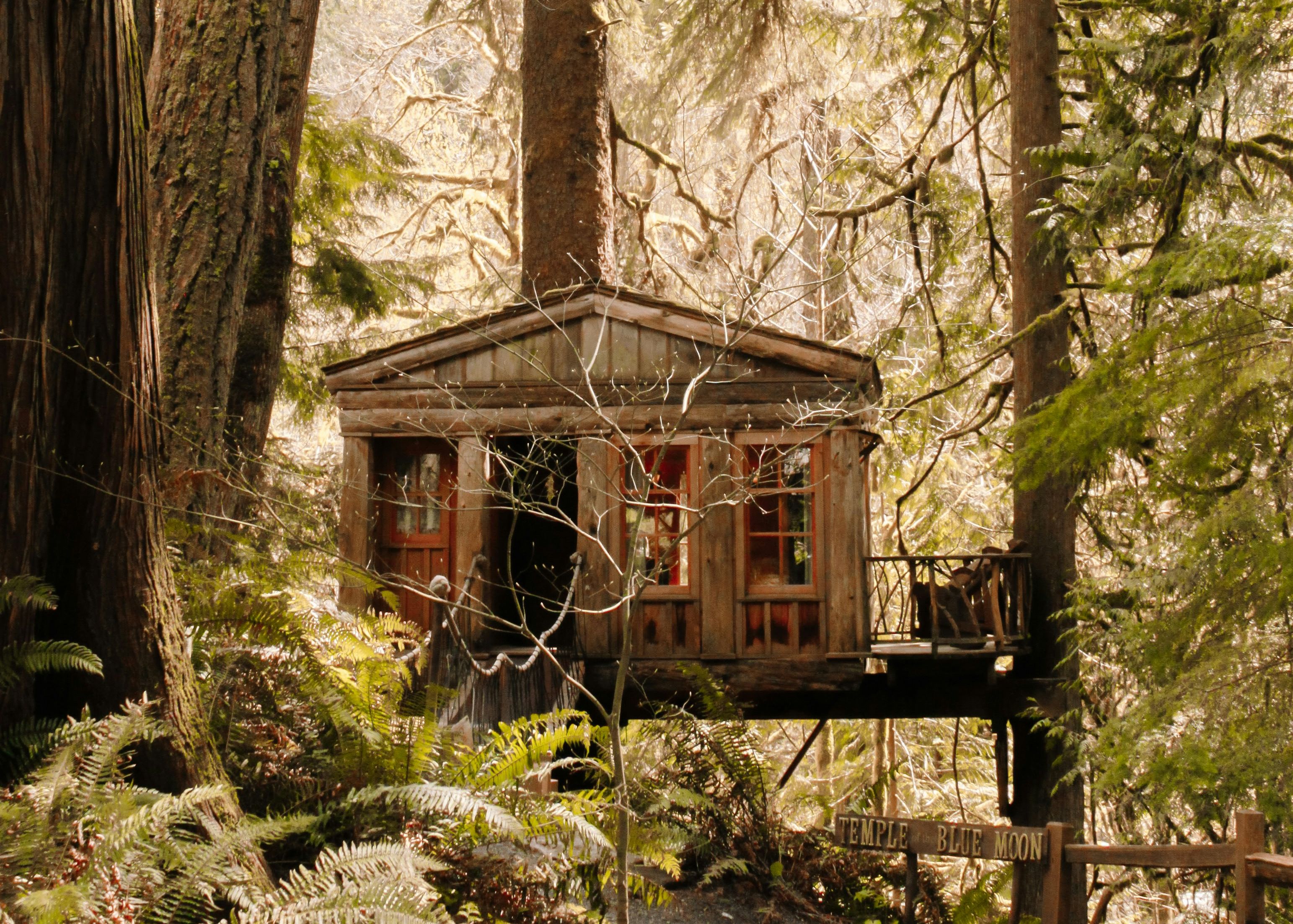 Slaap op hoogte tijdens een overnachting in een boomhut