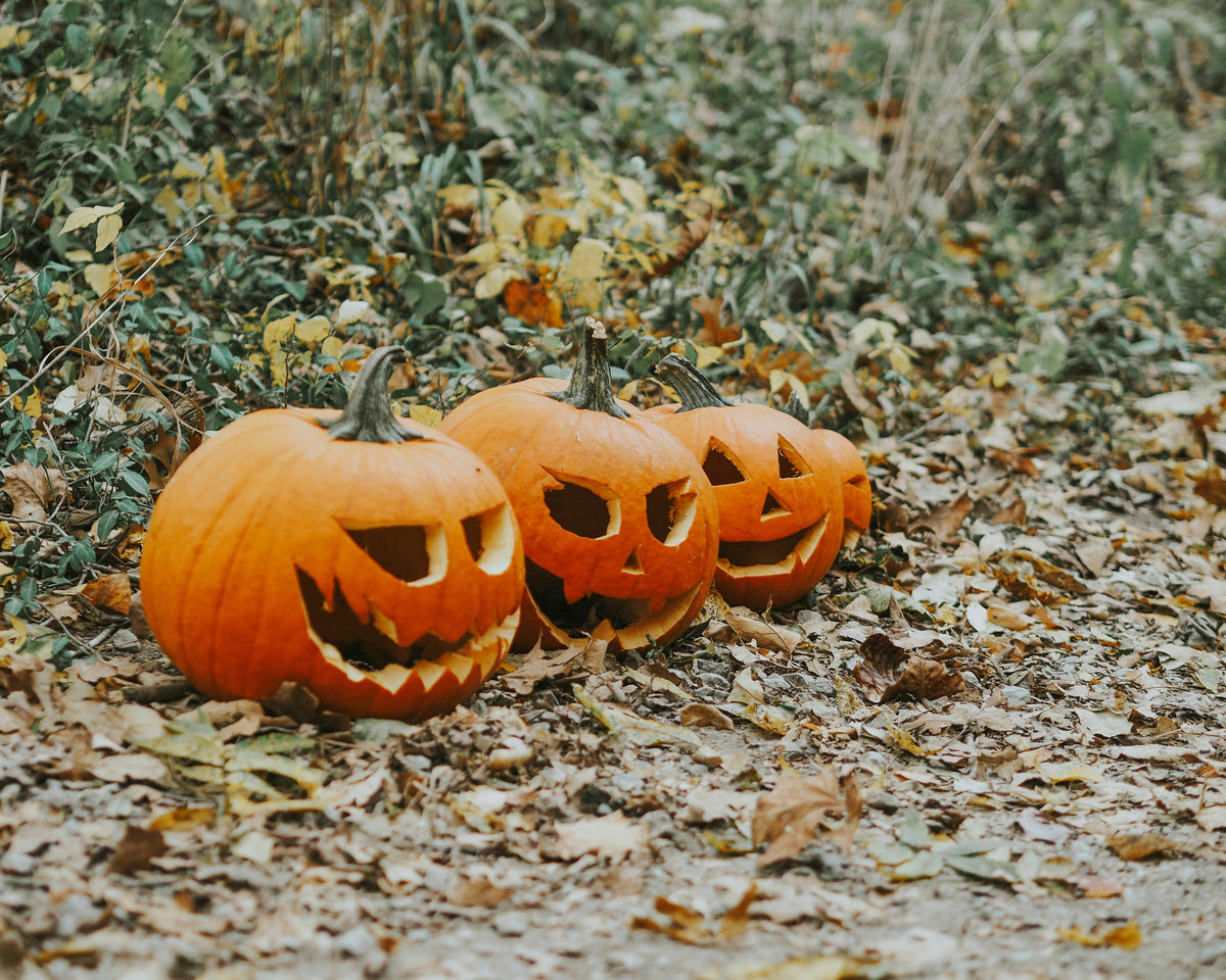 Waarom een Halloween-evenement in een pretpark dé herfstuitstap is voor het hele gezin