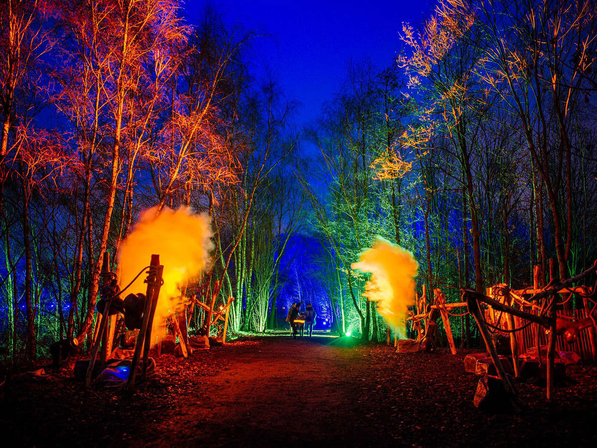 Deze 3 magische licht- en herfstwandelingen wil je niet missen