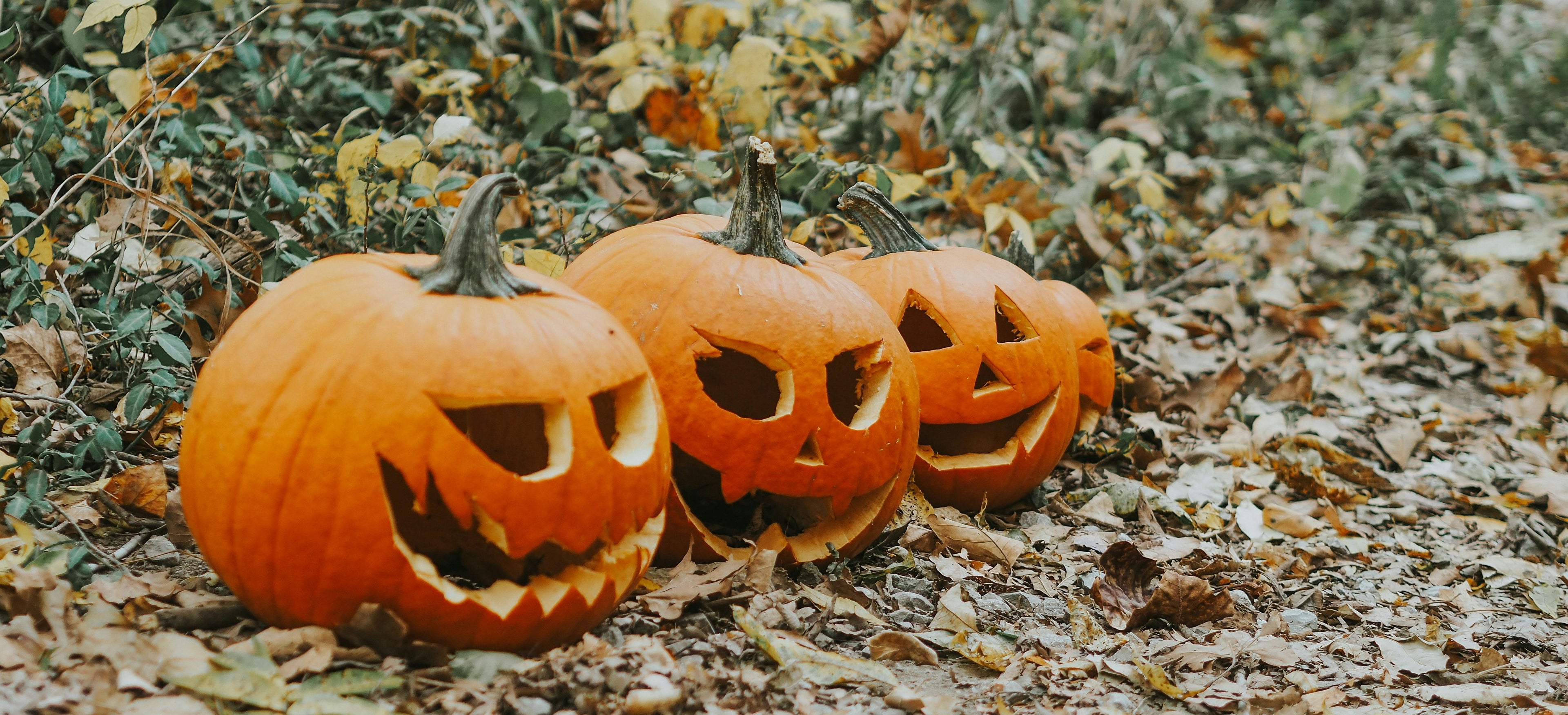 Halloween 2025 in België: griezeligste en gezelligste uitjes