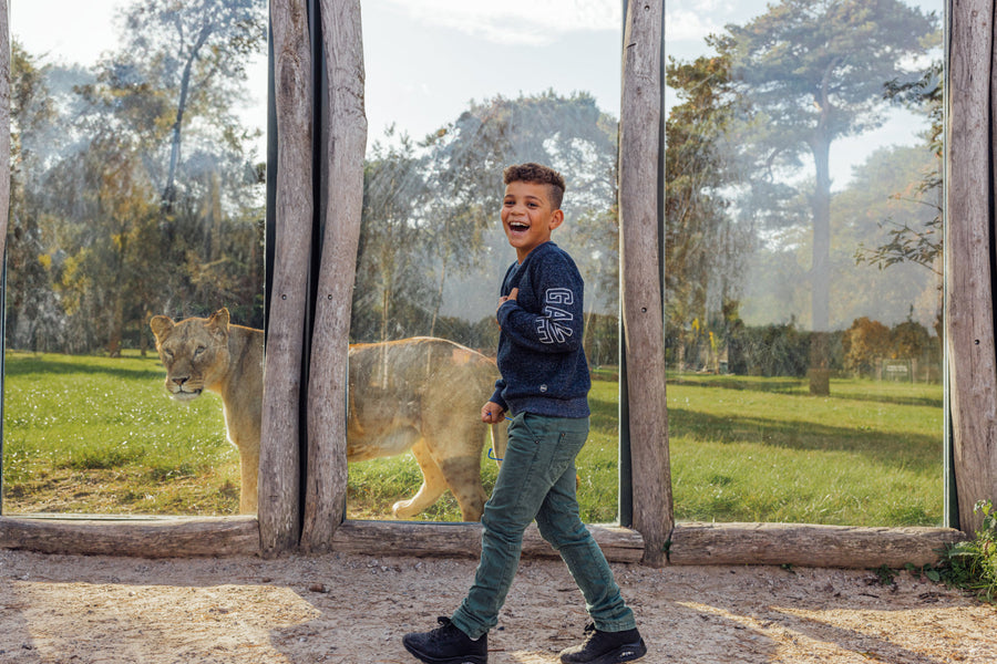 Safaripark Beekse Bergen - afbeelding 1