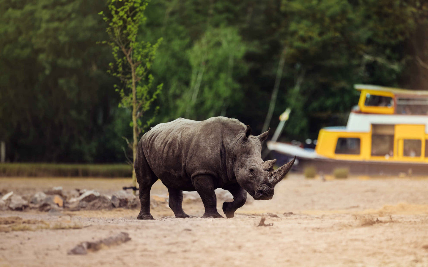 Safaripark Beekse Bergen - afbeelding 3