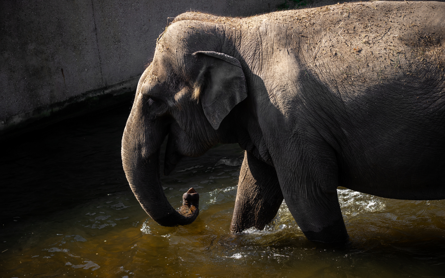ZOO Planckendael - afbeelding 15