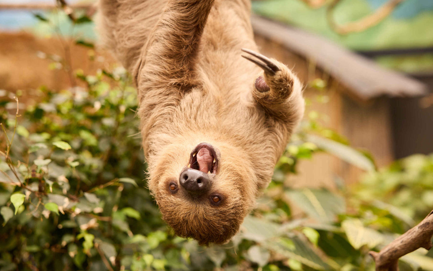 ZooParc Overloon - afbeelding 1