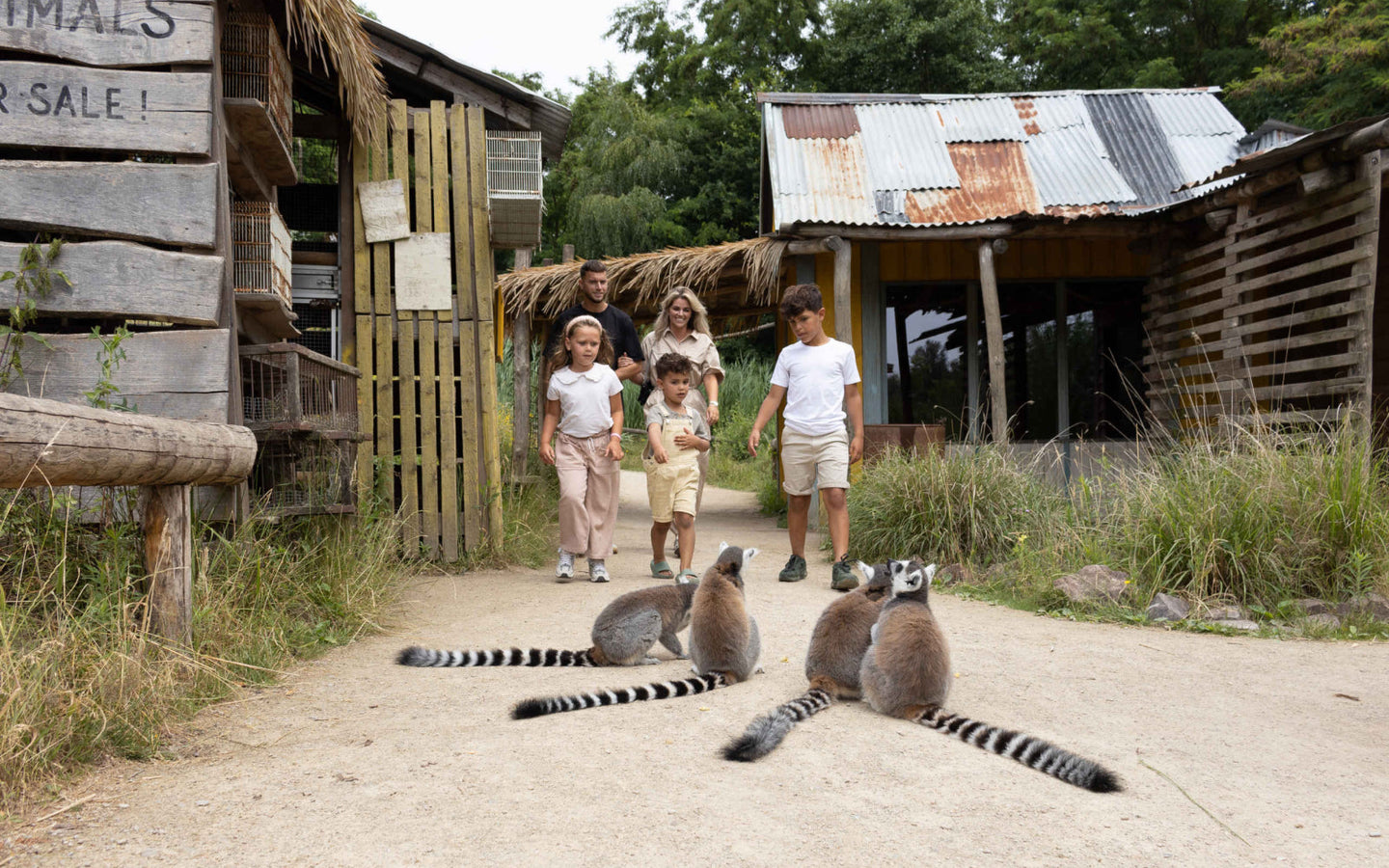 ZooParc Overloon - afbeelding 4