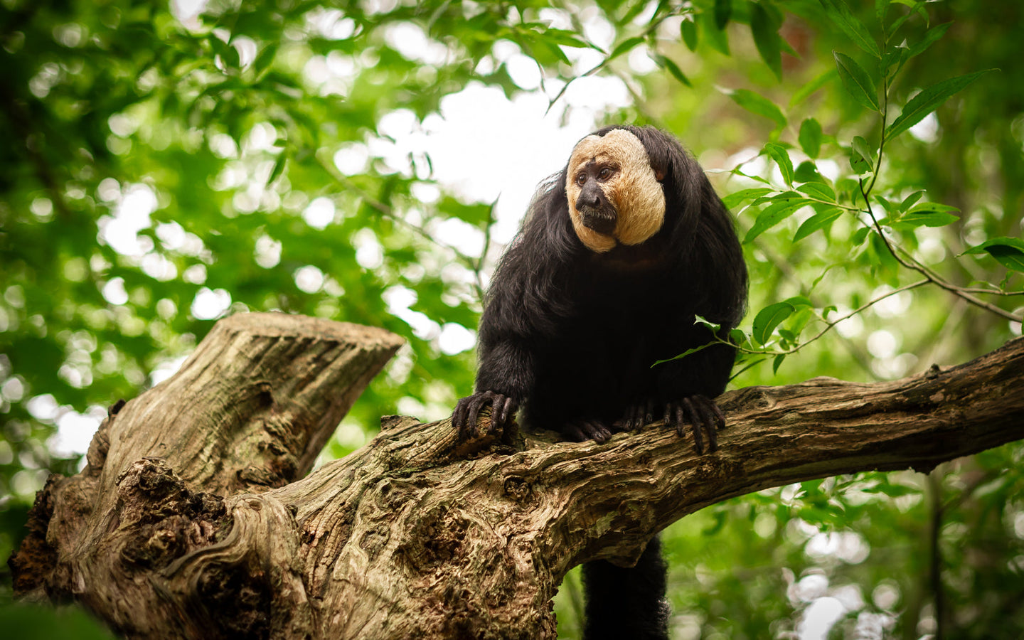 ZOO Planckendael - afbeelding 13