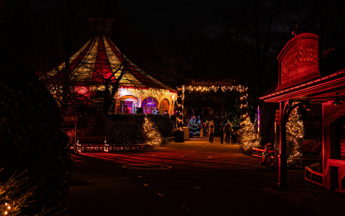 Bellewaerde Park - Kerst - afbeelding 8