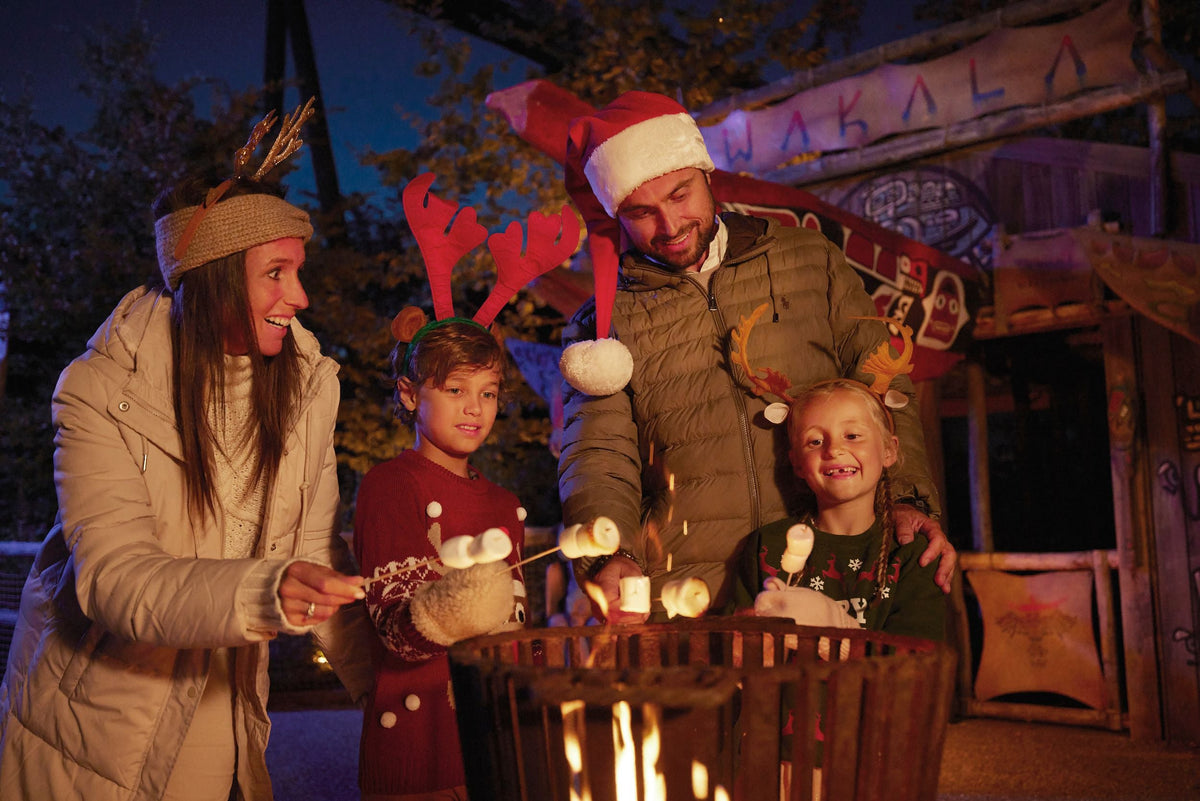 Bellewaerde Park - Kerst - afbeelding 4