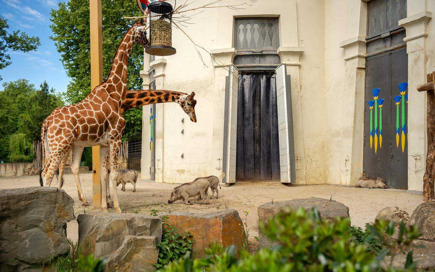 ZOO Antwerpen - afbeelding 2