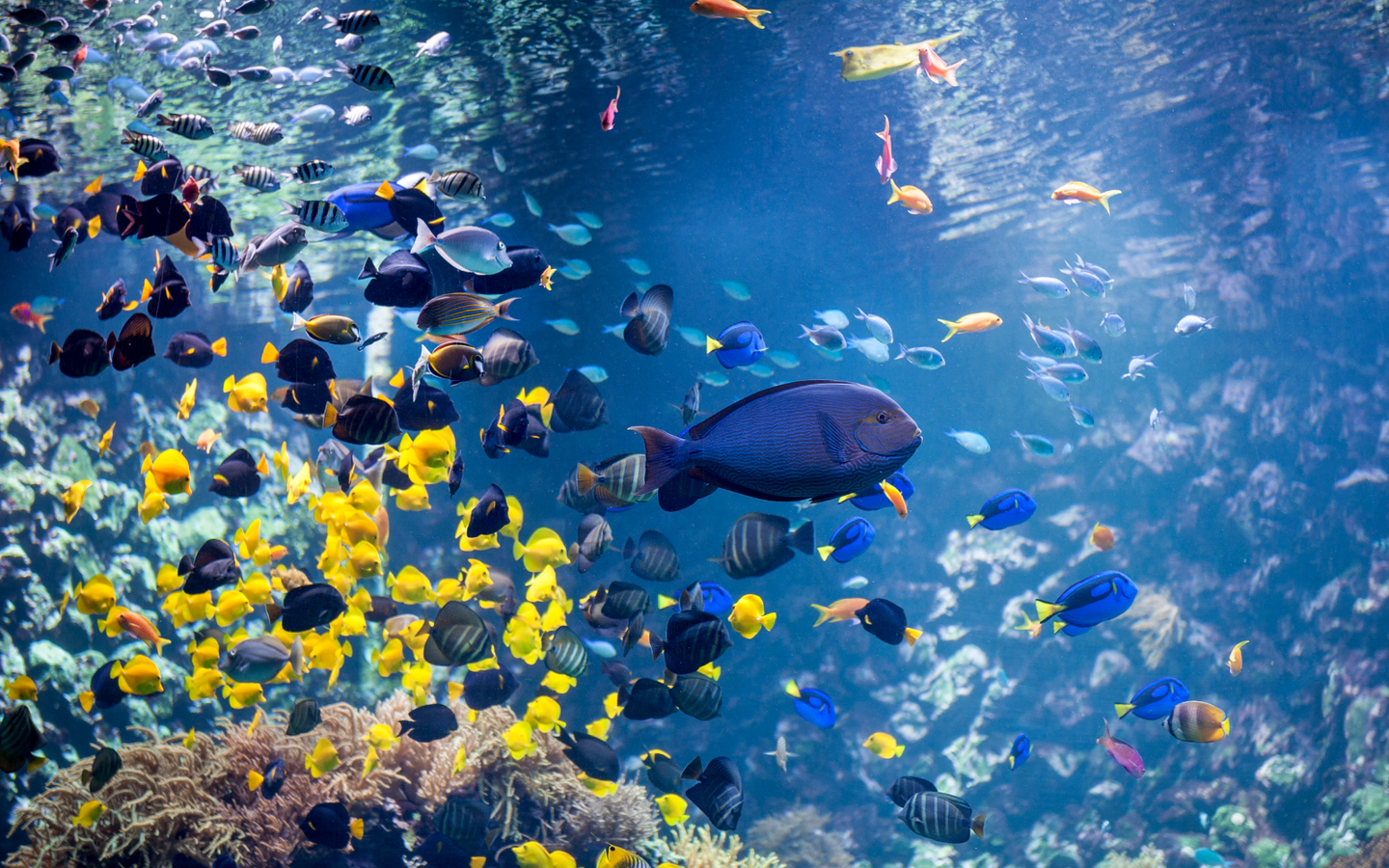 ZOO Antwerpen - afbeelding 13