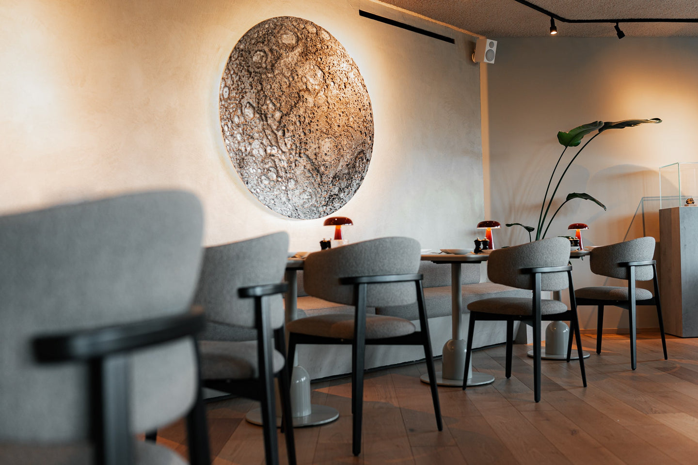 5-gangen diner/lunch Restaurant Moonstone, Stiemerheide - afbeelding 4