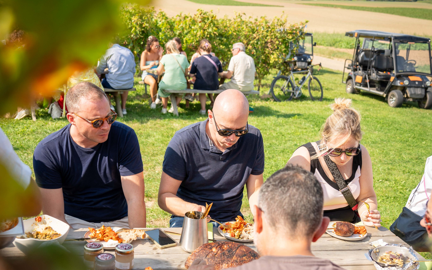 Wijntours | Ontdek de regio in een golfkar incl. lunch + fles Bilzamico - afbeelding 2