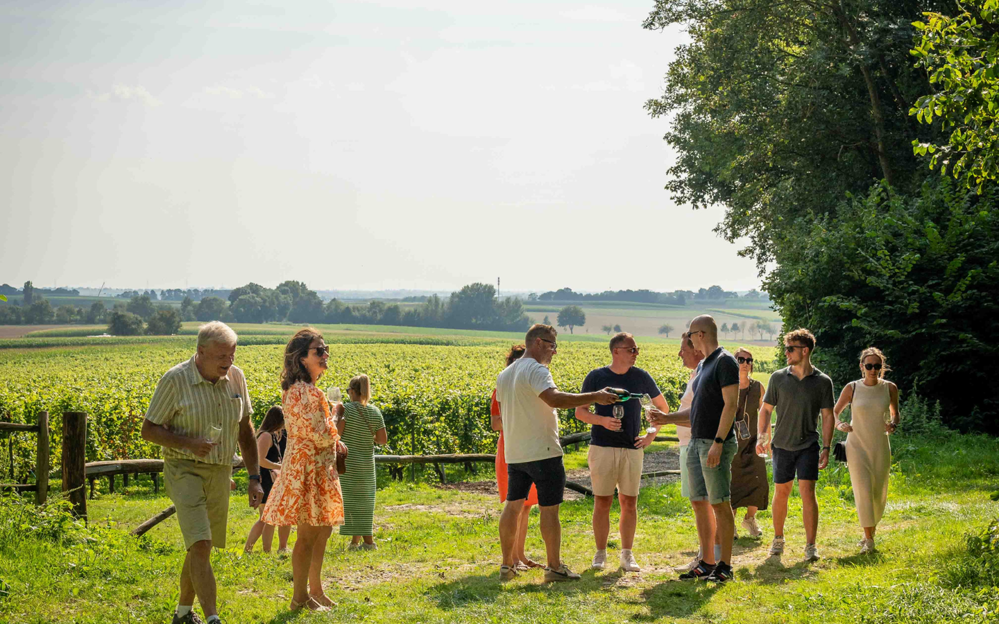 Wijntours | Ontdek de regio in een golfkar incl. lunch + fles Bilzamico - afbeelding 3