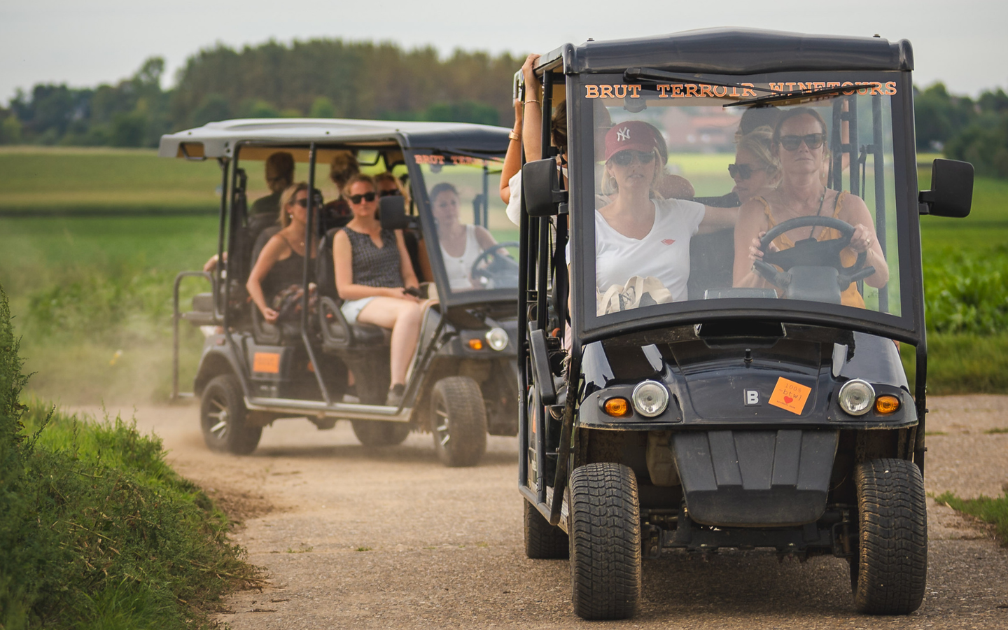 Wijntours | Ontdek de regio in een golfkar incl. lunch + fles Bilzamico - afbeelding 5