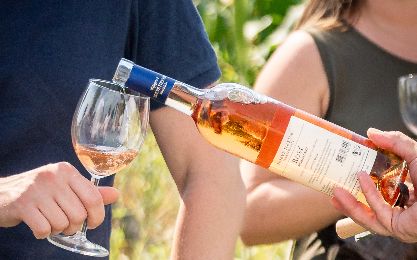 Wijntours | Ontdek de regio in een golfkar incl. lunch + fles Bilzamico - afbeelding 12