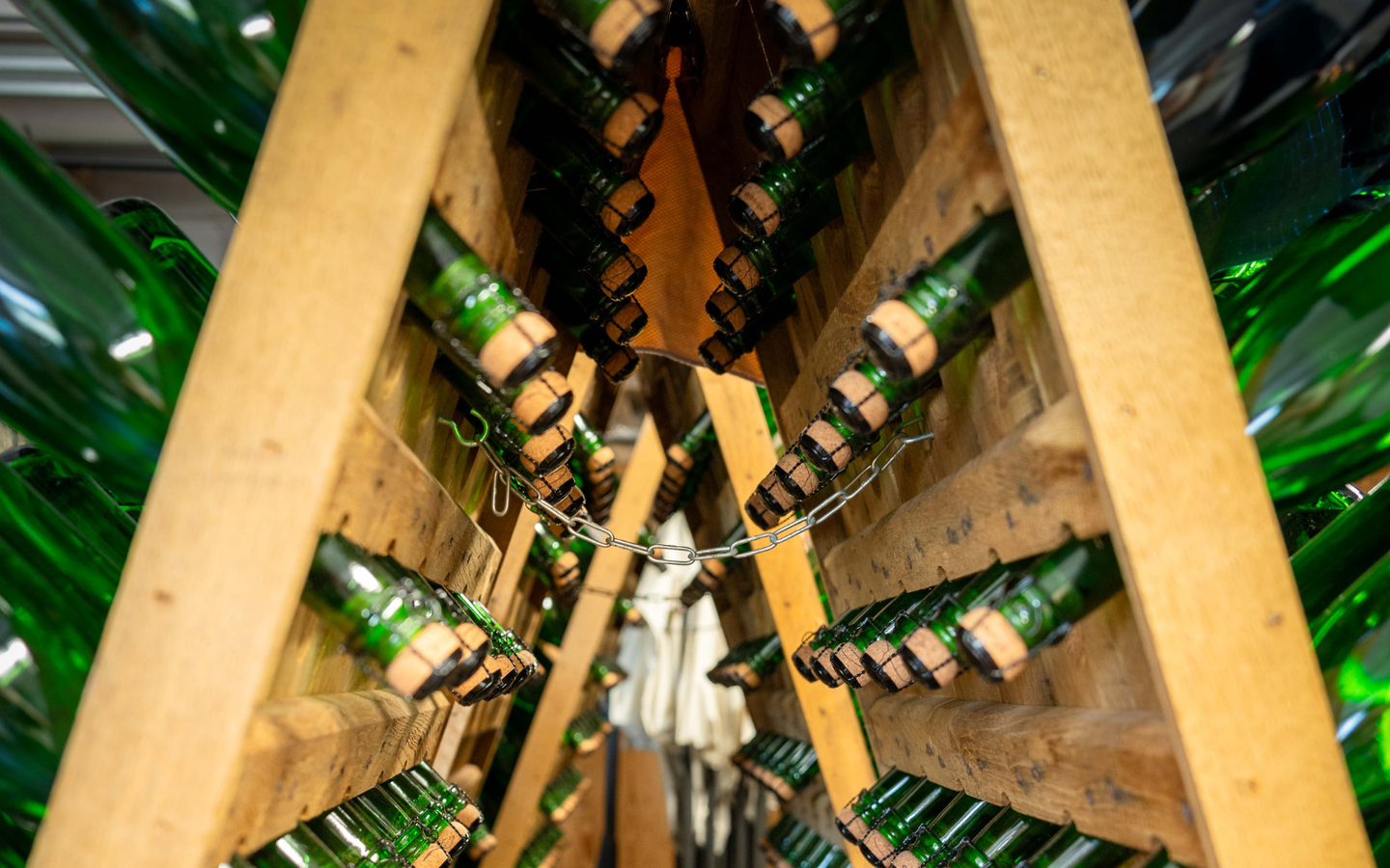 Wijntours | Ontdek de regio in een golfkar incl. lunch + fles Bilzamico - afbeelding 10