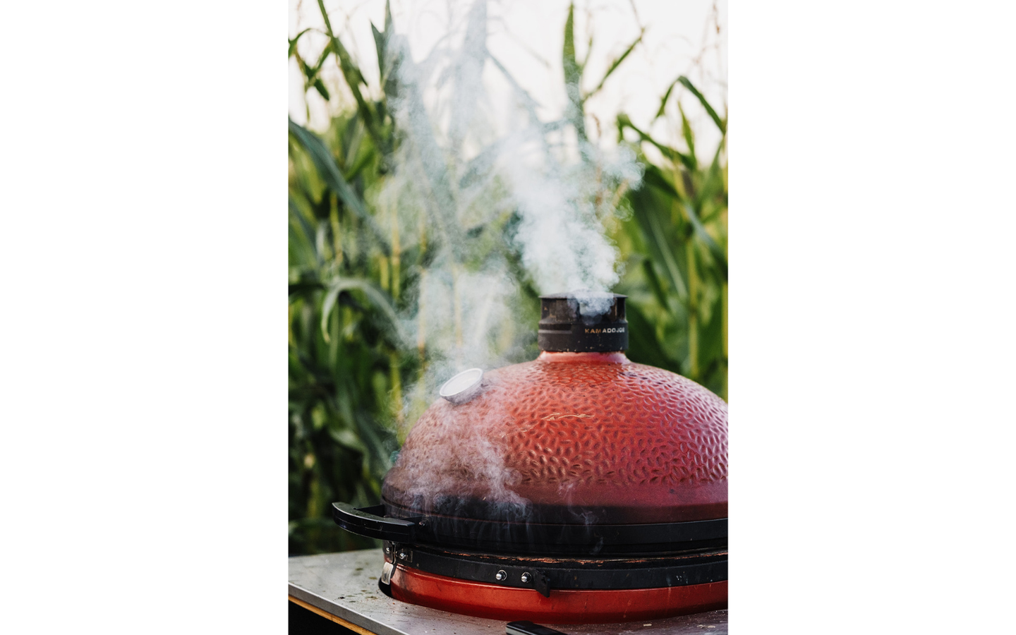 Maïsterplan - Oogsttafel BBQ voor 1 persoon - afbeelding 4