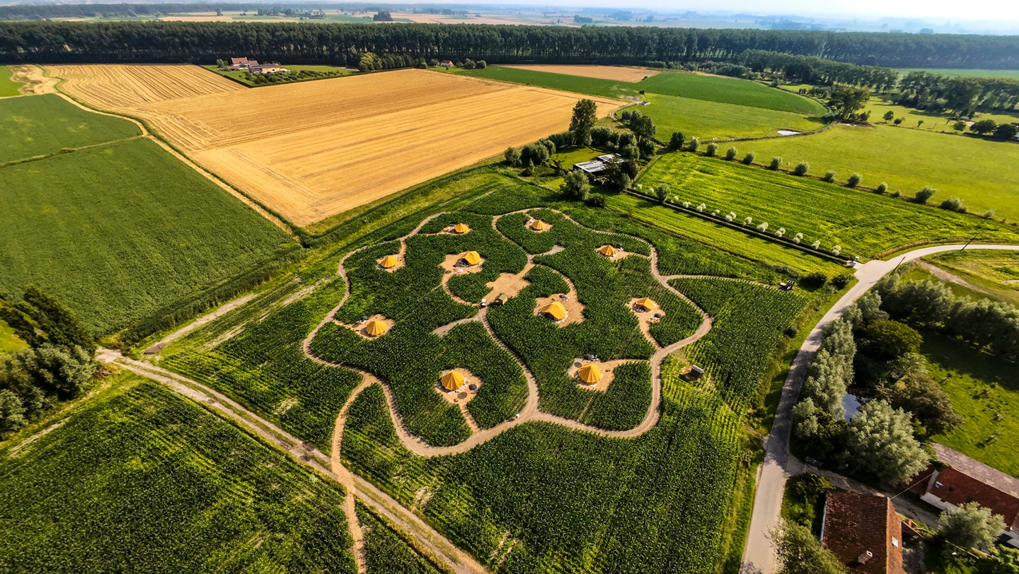 Maïsterplan - Overnachting in een glamping tent met ontbijt - afbeelding 5