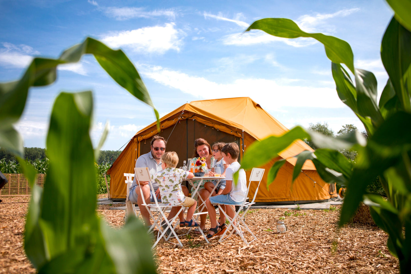 Maïsterplan - Overnachting in een glamping tent met ontbijt - afbeelding 2