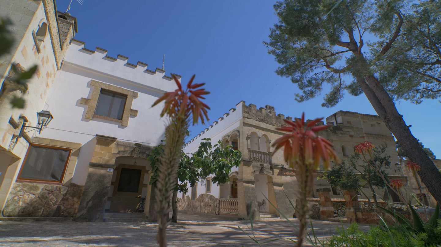 Hotel & Spa in Puglia : wijn & harmonie bij Tenute Al Bano Wine & Wellness Resort - afbeelding 2