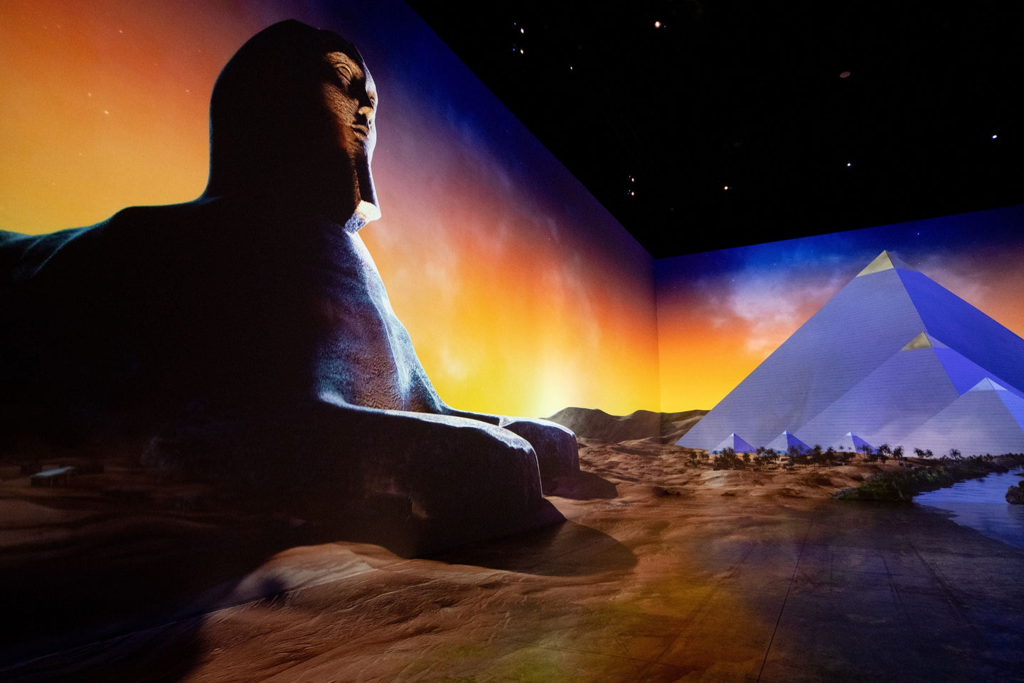 Tutankhamun | Immersive Experience - afbeelding 3