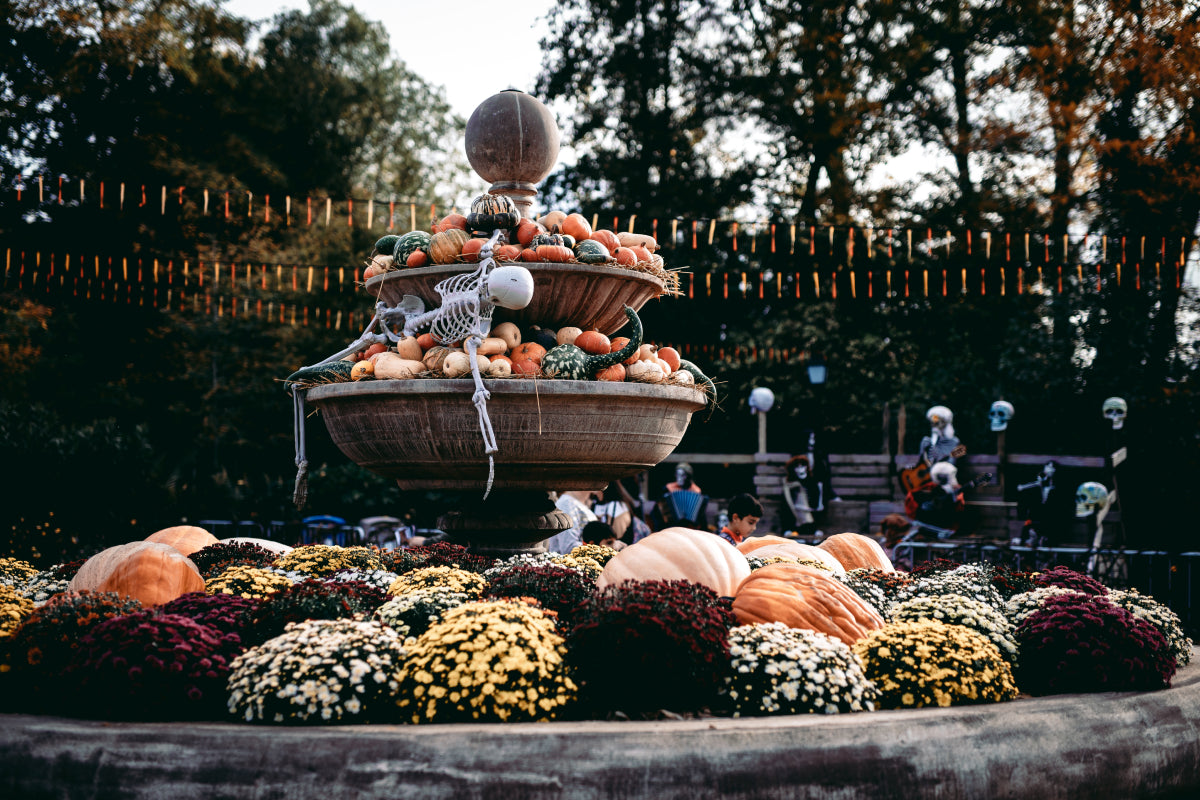 Bellewaerde Park - Halloween - afbeelding 3