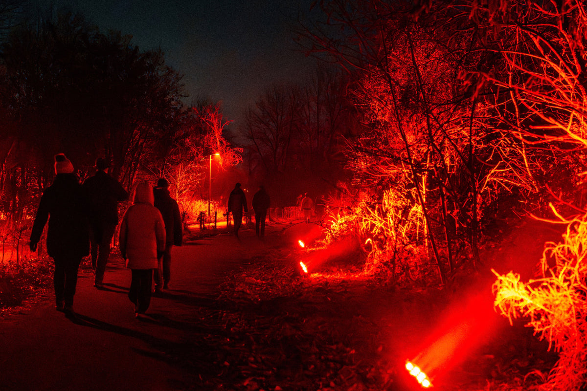Luminoctis Lichtfestival @Terhills Maasmechelen - afbeelding 2
