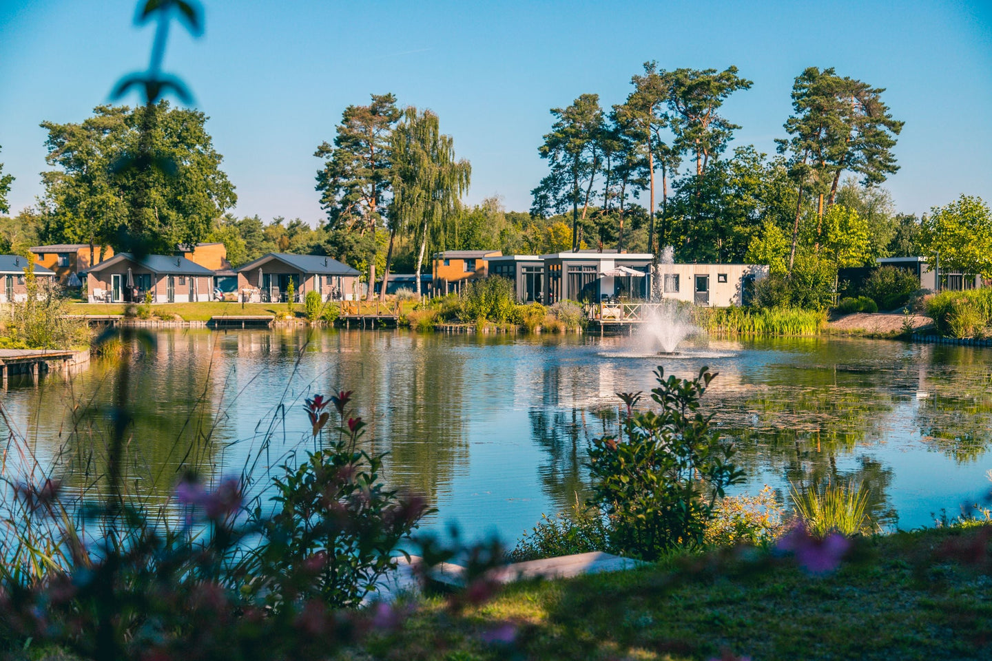 EuroParcs Zilverstrand - afbeelding 10